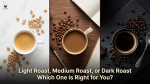 Light Roast, Medium Roast, or Dark Roast: Which One Is Right for You?