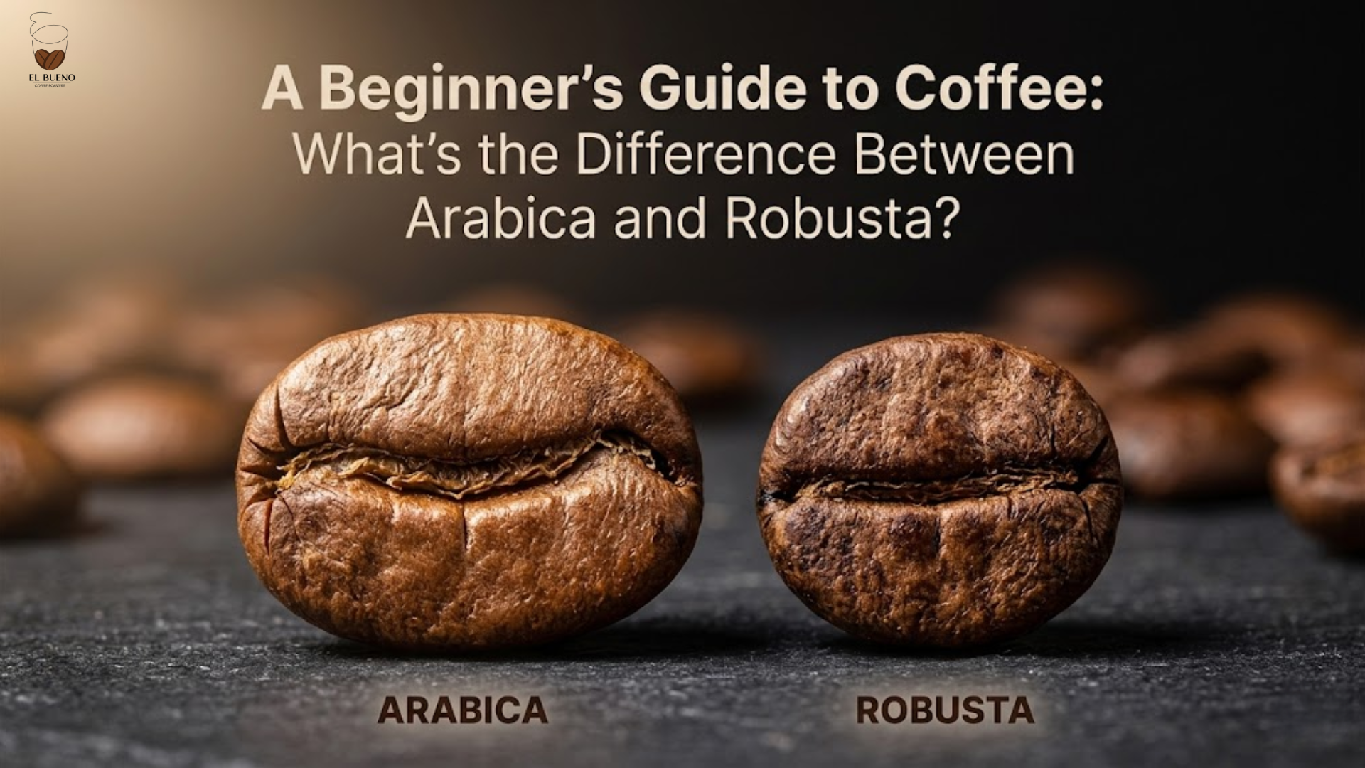A Beginner’s Guide to Coffee: What’s the Difference Between Arabica and Robusta?