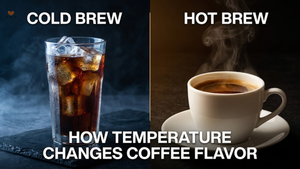 Cold Brew vs Hot Brew: How Temperature Changes Coffee Flavor