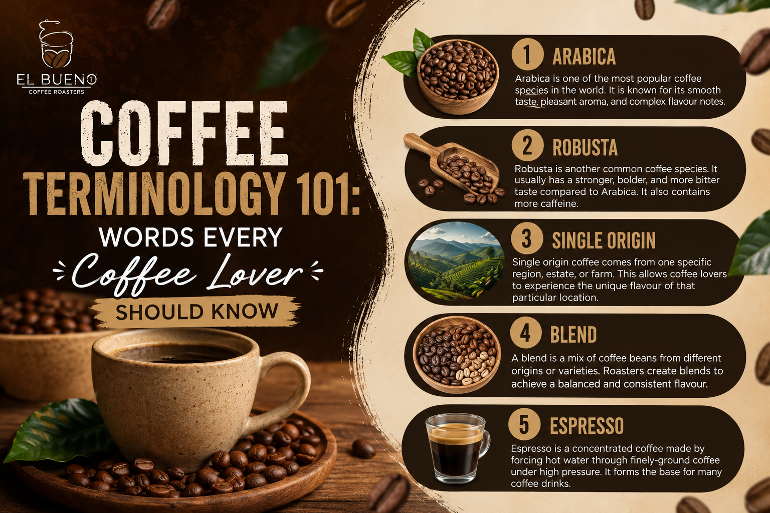 What Do Coffee Terms Actually Mean? A Quick-Answer Glossary