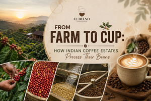 From Farm to Cup: How Do Indian Coffee Estates Process Their Beans?