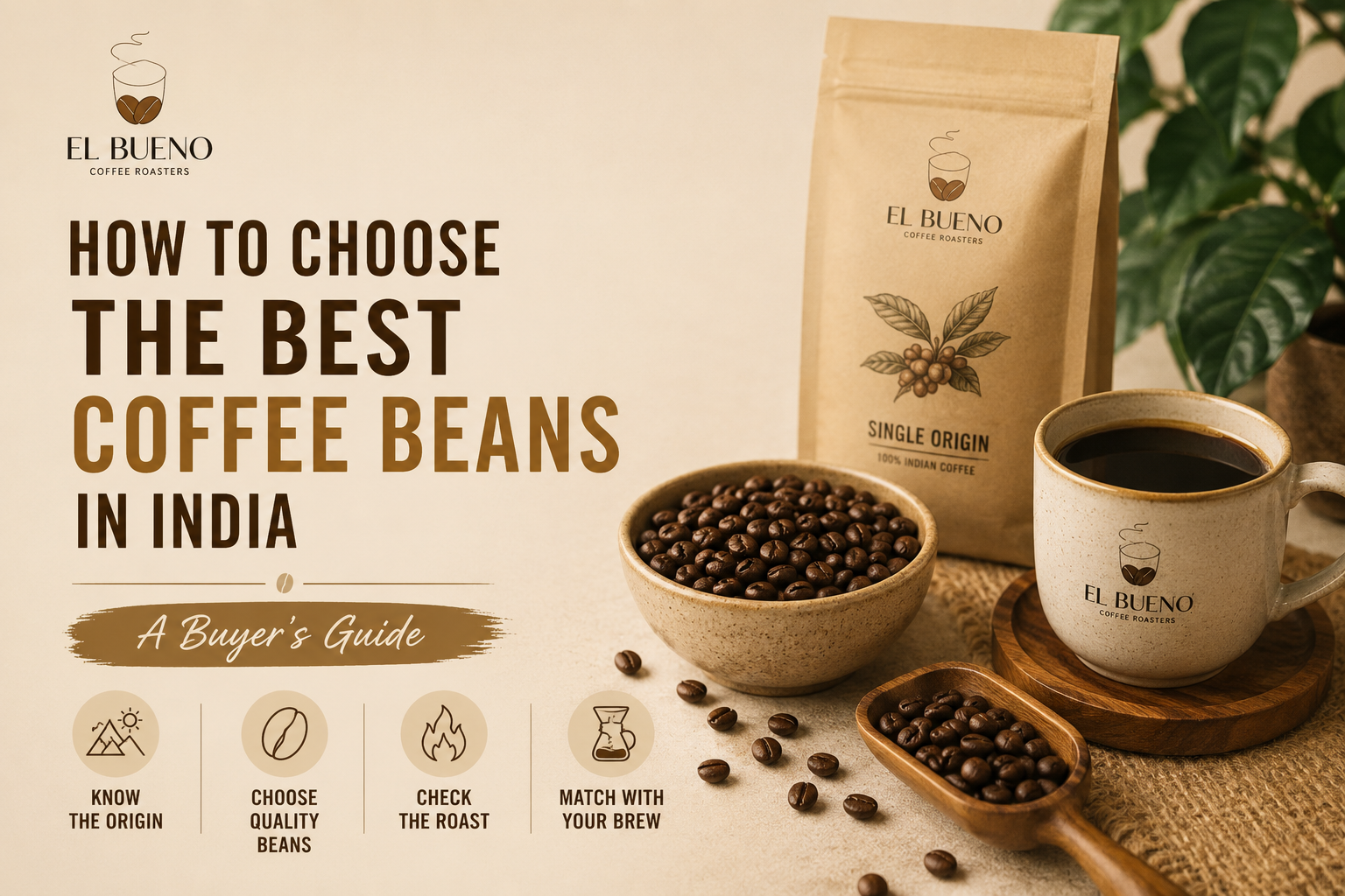 How to Choose the Best Coffee Beans in India: A Buyer's Guide