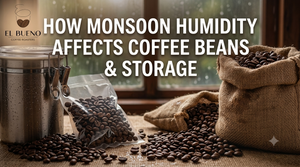 How Monsoon Humidity Affects Coffee Beans and Storage