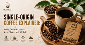 Single-Origin Coffee Explained: Why Coffee Lovers Are Obsessed With It