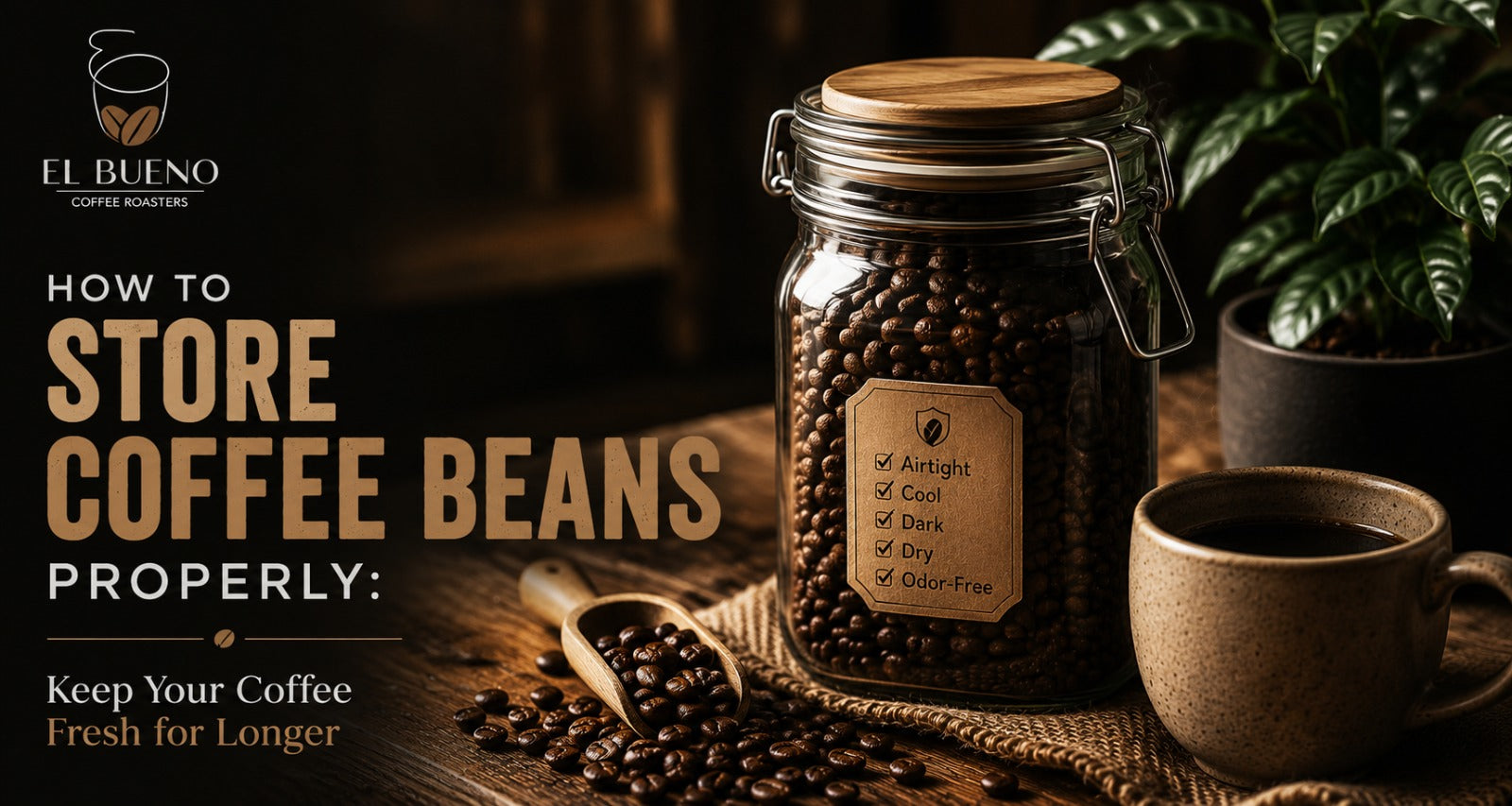 How to Store Coffee Beans Properly: Keep Your Coffee Fresh for Longer