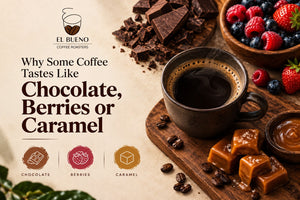Why Some Coffee Tastes Like Chocolate, Berries or Caramel