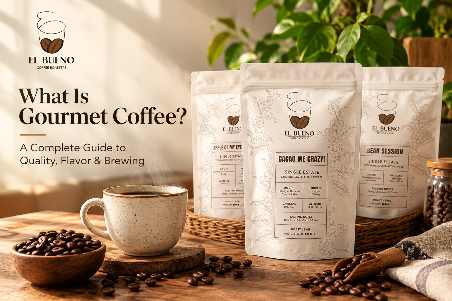 What Is Gourmet Coffee? A Complete Guide to Quality, Flavor & Brewing