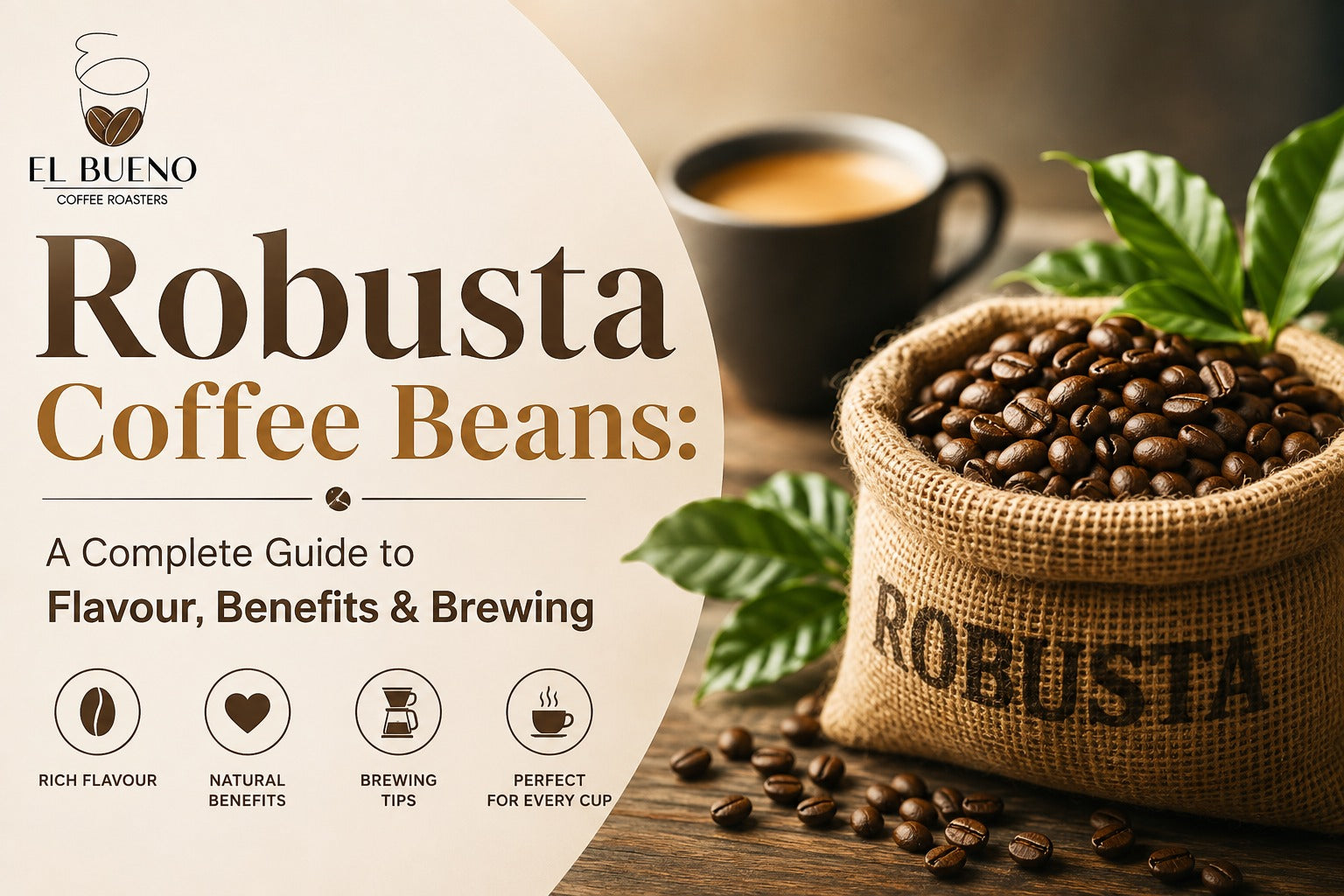 Robusta Coffee Beans: A Complete Guide to Flavour, Benefits & Brewing
