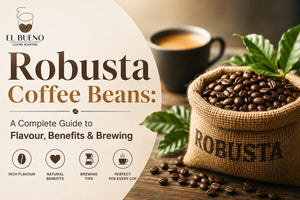 Robusta Coffee Beans: A Complete Guide to Flavour, Benefits & Brewing