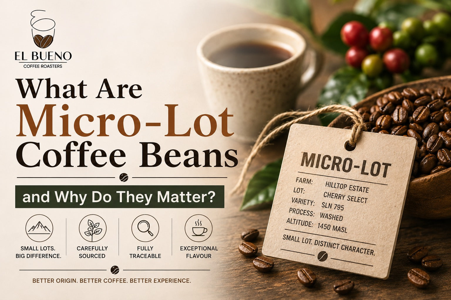 What Are Micro-Lot Coffee Beans and Why Do They Matter?