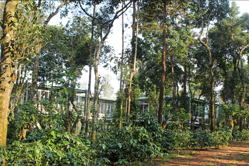Amruthavarshini Farm