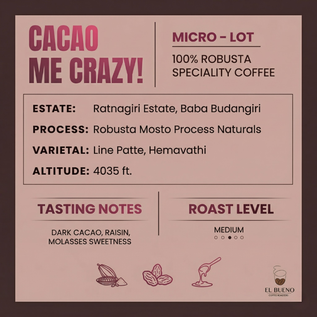 Cacao Me Crazy!