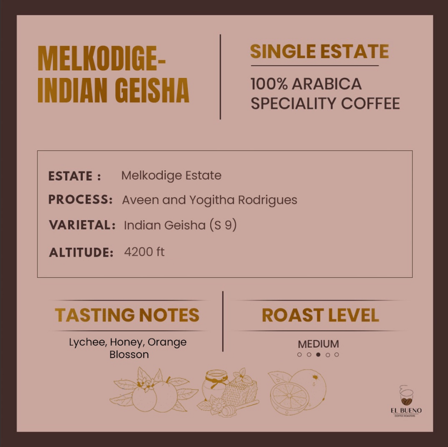 Melkodige- Indian Geisha
