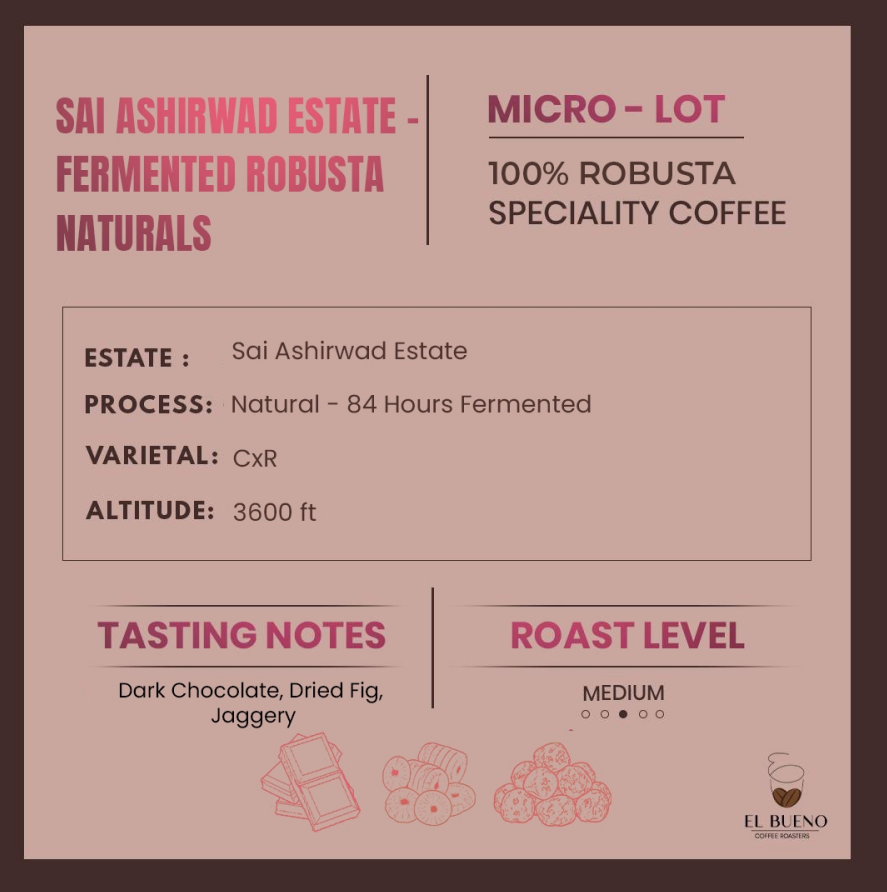 Sai Ashirwad Estate - Fermented Robusta Naturals