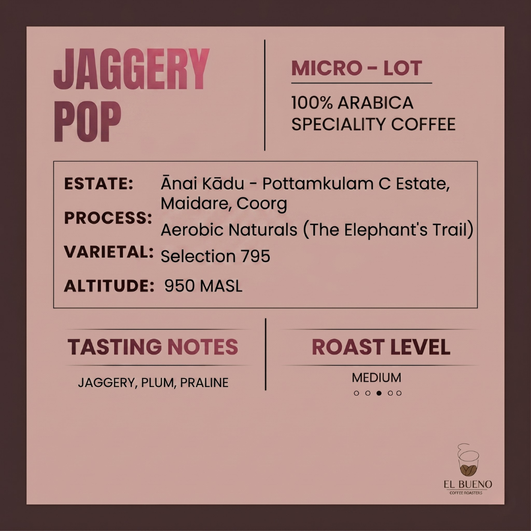 Jaggery Pop