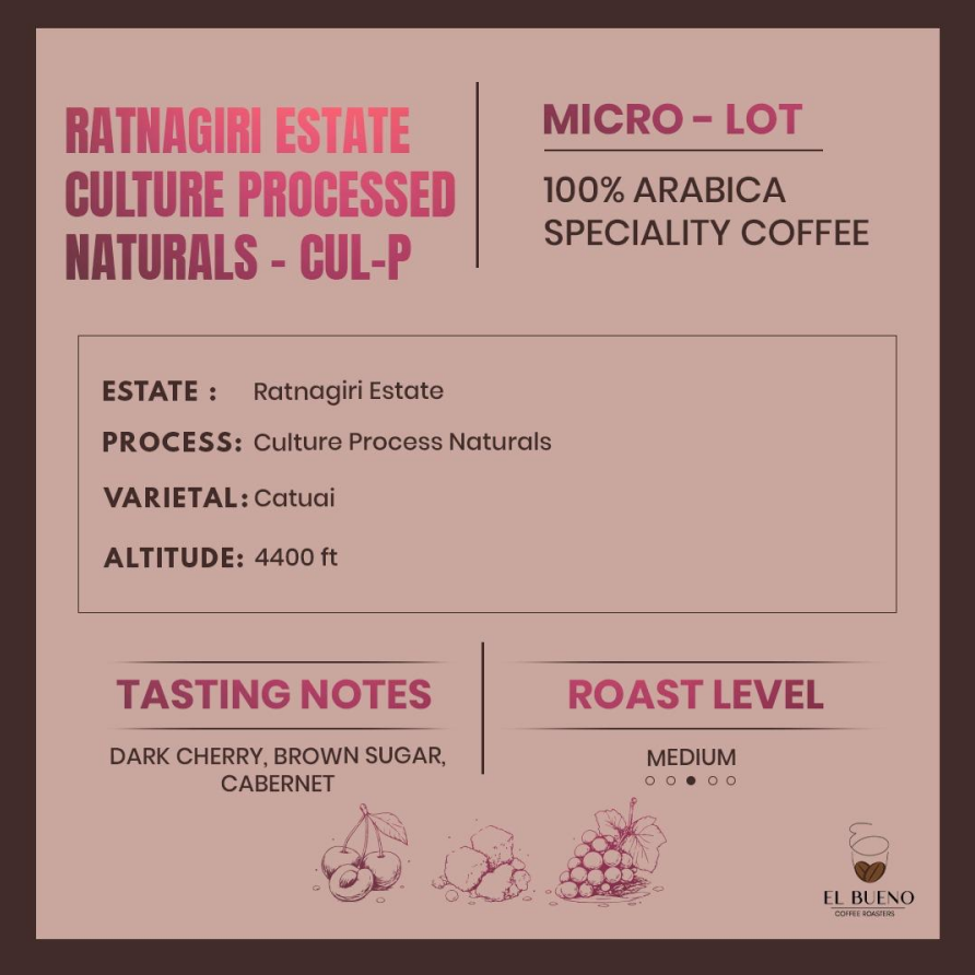 Ratnagiri Estate- Culture Processed Naturals- CUL-P