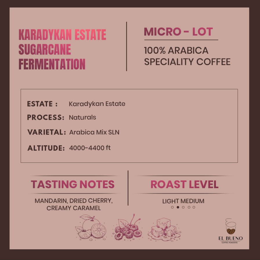 Karadykan Estate- Sugarcane Fermentation