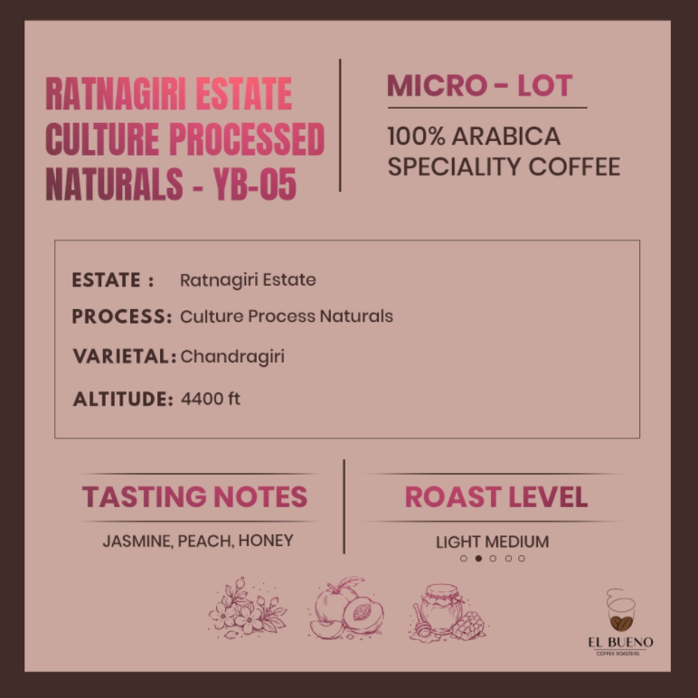 Ratnagiri Estate- Culture Processed Naturals - YB-05