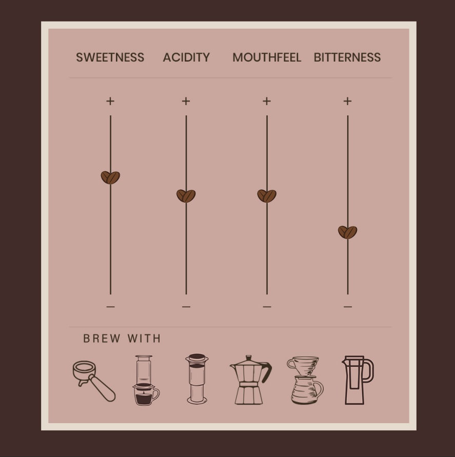 Sai Ashirwad Estate - Fermented Robusta Naturals