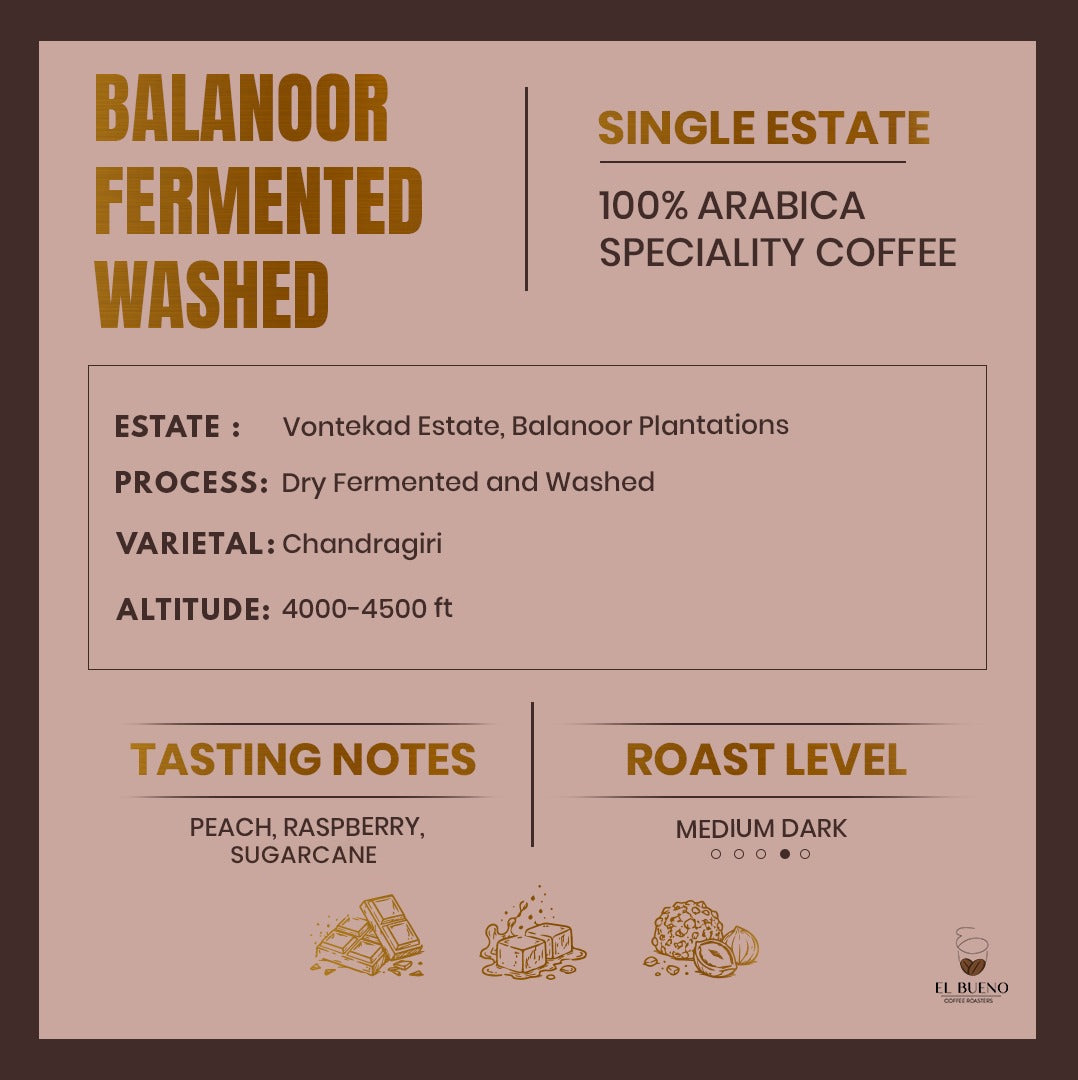 Balanoor Fermented Washed - Chandragiri