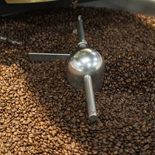 Brewed Fresh Daily