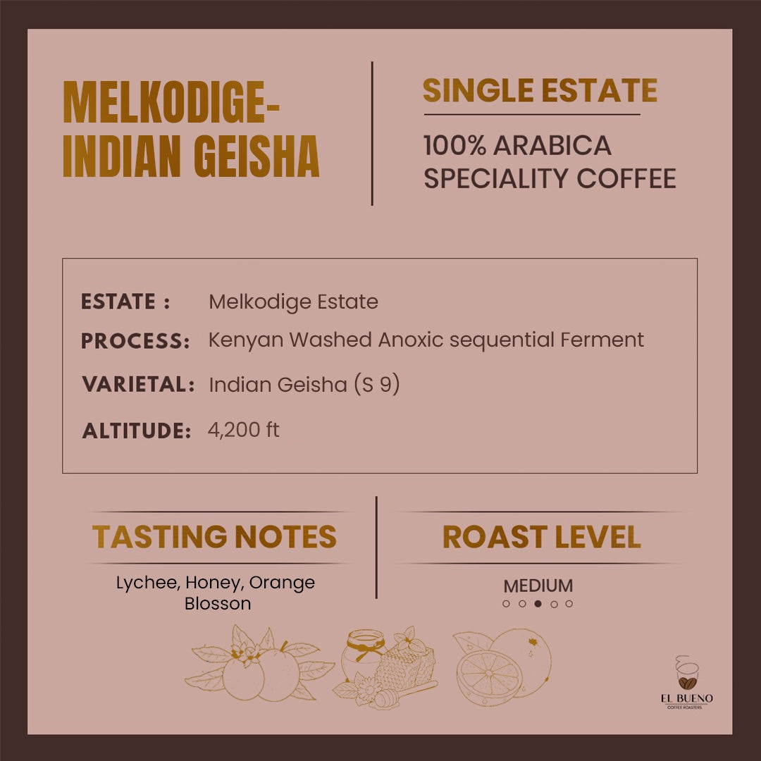 Melkodige- Indian Geisha