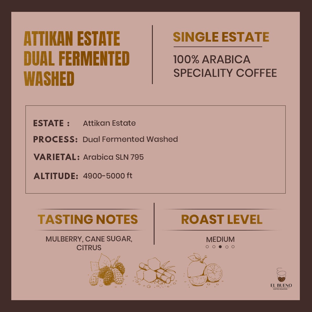 Attikan Estate- Dual Fermented Washed
