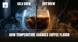 Cold Brew vs Hot Brew: How Temperature Changes Coffee Flavor 